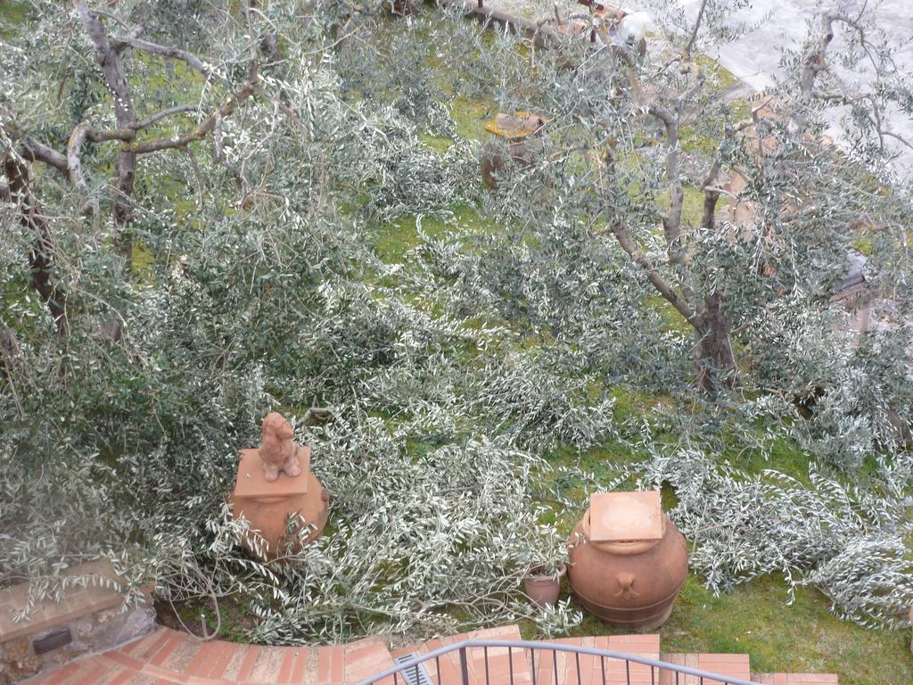 Bed & Breakfast I Coppi San Gimignano